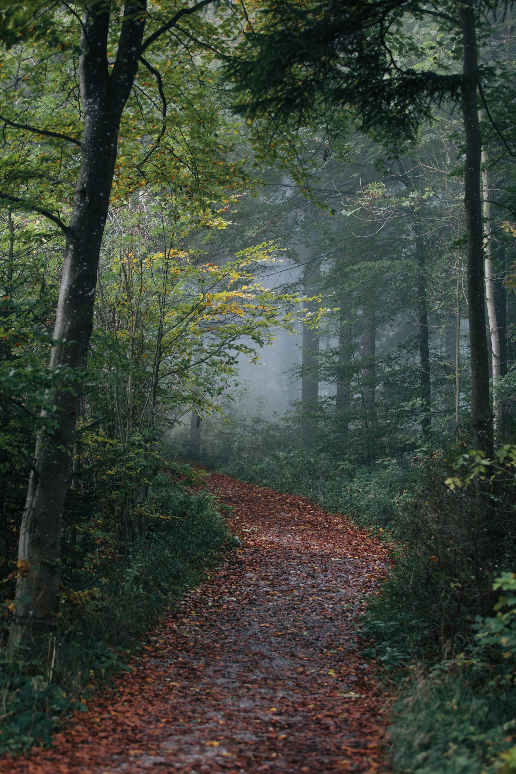 Chemin de traverse